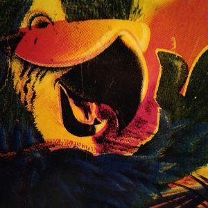 Meet your Posher, Allen